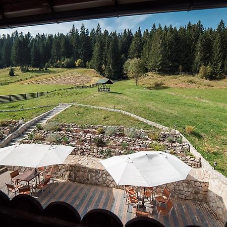Conacul Domnitei Hotell Voronet Exteriör bild
